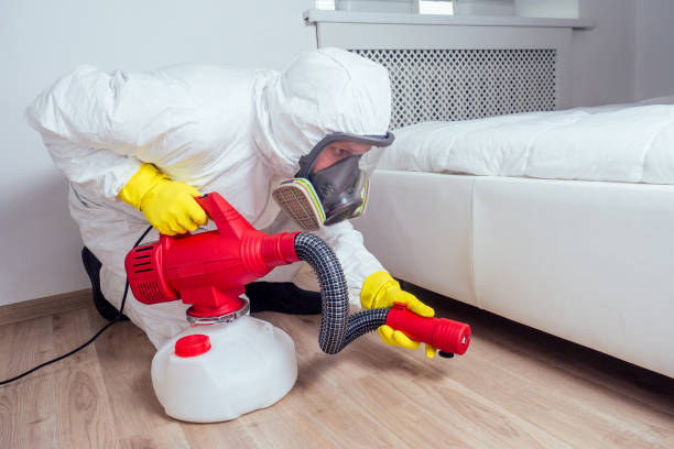 Best Residential Pest Control  in Westminster, LA